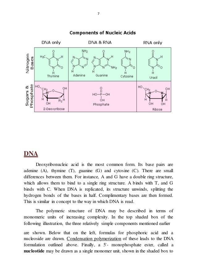 Biological functions of Nucleic Acids