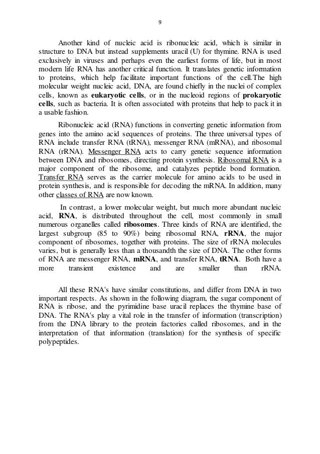 Biological functions of Nucleic Acids