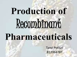 Production of
Recombinant
Pharmaceuticals
Tanvi Potluri
B120647BT
 