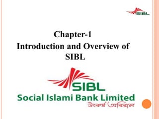 Chapter-1
Introduction and Overview of
SIBL
 