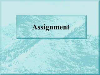 Assignment
 