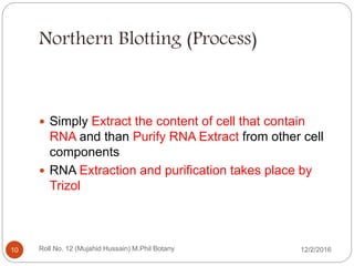 Northern Blotting (Process)
 Simply Extract the content of cell that contain
RNA and than Purify RNA Extract from other cell
components
 RNA Extraction and purification takes place by
Trizol
Roll No. 12 (Mujahid Hussain) M.Phil Botany10 12/2/2016
 
