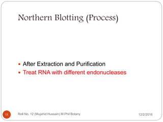 Northern Blotting (Process)
 After Extraction and Purification
 Treat RNA with different endonucleases
Roll No. 12 (Mujahid Hussain) M.Phil Botany11 12/2/2016
 
