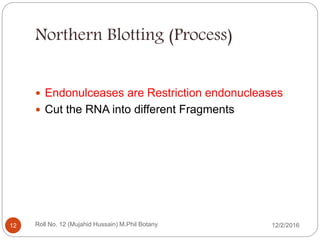 Northern Blotting (Process)
 Endonulceases are Restriction endonucleases
 Cut the RNA into different Fragments
Roll No. 12 (Mujahid Hussain) M.Phil Botany12 12/2/2016
 