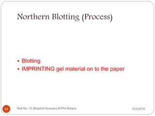 Northern Blotting (Process)
 Blotting
 IMPRINTING gel material on to the paper
Roll No. 12 (Mujahid Hussain) M.Phil Botany24 12/2/2016
 