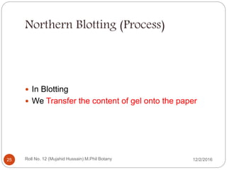 Northern Blotting (Process)
 In Blotting
 We Transfer the content of gel onto the paper
Roll No. 12 (Mujahid Hussain) M.Phil Botany25 12/2/2016
 