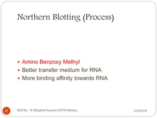 Northern Blotting (Process)
 Amino Benzoxy Methyl
 Better transfer medium for RNA
 More binding affinity towards RNA
Roll No. 12 (Mujahid Hussain) M.Phil Botany27 12/2/2016
 
