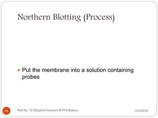 Northern Blotting (Process)
 Put the membrane into a solution containing
probes
Roll No. 12 (Mujahid Hussain) M.Phil Botany33 12/2/2016
 
