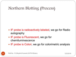Northern Blotting (Process)
 IF probe is radioactively labeled, we go for Radio
autography
 IF probe is Fluorescent, we go for
chemiluminescence
 IF probe is Colori, we go for colorimetric analysis
Roll No. 12 (Mujahid Hussain) M.Phil Botany37 12/2/2016
 