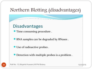 Northern Blotting (disadvantages)
Roll No. 12 (Mujahid Hussain) M.Phil Botany39 12/2/2016
 