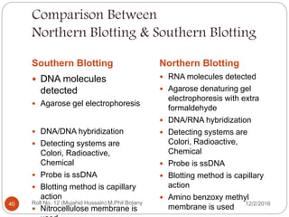 Comparison Between
Northern Blotting & Southern Blotting
Southern Blotting Northern Blotting
 DNA molecules
detected
 Agarose gel electrophoresis
 DNA/DNA hybridization
 Detecting systems are
Colori, Radioactive,
Chemical
 Probe is ssDNA
 Blotting method is capillary
action
 Nitrocellulose membrane is
 RNA molecules detected
 Agarose denaturing gel
electrophoresis with extra
formaldehyde
 DNA/RNA hybridization
 Detecting systems are
Colori, Radioactive,
Chemical
 Probe is ssDNA
 Blotting method is capillary
action
 Amino benzoxy methyl
membrane is used
Roll No. 12 (Mujahid Hussain) M.Phil Botany40 12/2/2016
 