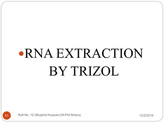 12/2/2016Roll No. 12 (Mujahid Hussain) M.Phil Botany41
RNA EXTRACTION
BY TRIZOL
 
