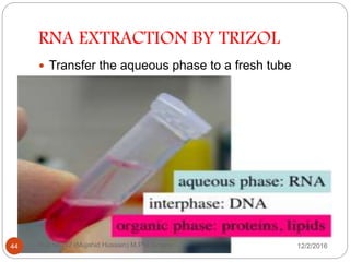 RNA EXTRACTION BY TRIZOL
 Transfer the aqueous phase to a fresh tube
Roll No. 12 (Mujahid Hussain) M.Phil Botany44 12/2/2016
 