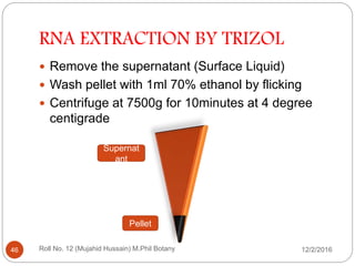 RNA EXTRACTION BY TRIZOL
 Remove the supernatant (Surface Liquid)
 Wash pellet with 1ml 70% ethanol by flicking
 Centrifuge at 7500g for 10minutes at 4 degree
centigrade
Pellet
Supernat
ant
Roll No. 12 (Mujahid Hussain) M.Phil Botany46 12/2/2016
 