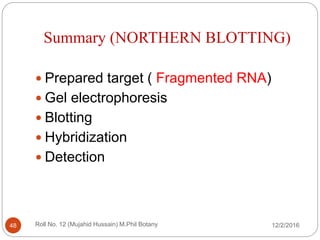 Summary (NORTHERN BLOTTING)
12/2/2016Roll No. 12 (Mujahid Hussain) M.Phil Botany48
 Prepared target ( Fragmented RNA)
 Gel electrophoresis
 Blotting
 Hybridization
 Detection
 
