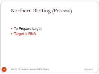 Northern Blotting (Process)
 To Prepare target
 Target is RNA
Roll No. 12 (Mujahid Hussain) M.Phil Botany9 12/2/2016
 