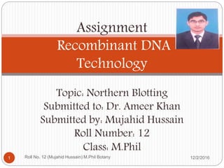 Assignment
Recombinant DNA
Technology
Topic: Northern Blotting
Submitted to: Dr. Ameer Khan
Submitted by: Mujahid Hussain
Roll Number: 12
Class: M.Phil
Roll No. 12 (Mujahid Hussain) M.Phil Botany1 12/2/2016
 