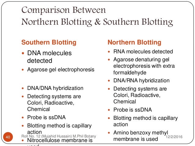 Diferencia Entre Southern Blot Y Northern Blot