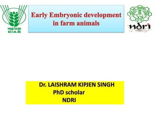  Early Embryonic development in farm animals