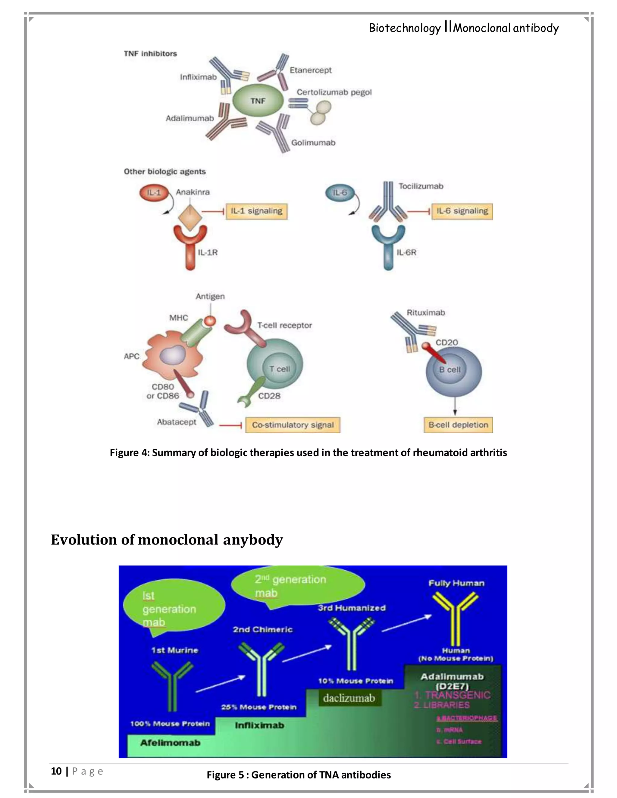 10 | P a g e
Biotechnology IIMonoclonal antibody
Figure 4: Summary of biologic therapies used in the treatment of rheumatoid arthritis
Evolution of monoclonal anybody
Figure 5 : Generation of TNA antibodies
 