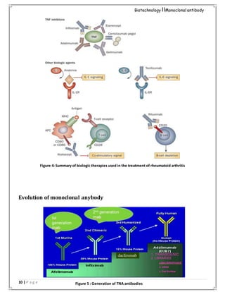 10 | P a g e
Biotechnology IIMonoclonal antibody
Figure 4: Summary of biologic therapies used in the treatment of rheumatoid arthritis
Evolution of monoclonal anybody
Figure 5 : Generation of TNA antibodies
 