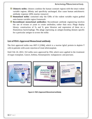 11 | P a g e
Biotechnology IIMonoclonal antibody
Chimeric mAbs: chimers combine the human constant regions with the intact rodent
variable regions. Affinity and specificity unchanged. Also cause human antichimeric
antibody response (30% murine resource)
Humanized mAbs: contained only the CDRs of the rodent variable region grafted
onto human variable region framework
Recombinant monoclonal antibodies: Recombinant antibody engineering involves
the use of viruses or yeast to create antibodies, rather than mice. Phage display
library: construction of VH and VL gene libraries and expression of them on a
filamentous bacteriophage. The phage expressing an antigen-bonding domain specific
for a particular antigen to screen the mAbs
List of FDA’s Approved Monoclonal antibody
The first approved mAbs was OKT-3 [1986], which is a murine IgGa2 protein to deplete T
cells in patients with acute rejection of renal allotransplant.
Until Feb 24, 2013, 312 mAbs were approved by FDA, which were applied in the treatment
of organ transplant, Cancer, Asthma, Hematopoietic malignancies and psoriasis.
Figure 6 : FDA’s Approved Monoclonal antibody
 