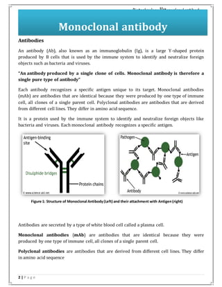 2 | P a g e
Biotechnology IIMonoclonal antibody
Antibodies
An antibody (Ab), also known as an immunoglobulin (Ig), is a large Y-shaped protein
produced by B cells that is used by the immune system to identify and neutralize foreign
objects such as bacteria and viruses.
“An antibody produced by a single clone of cells. Monoclonal antibody is therefore a
single pure type of antibody”
Each antibody recognizes a specific antigen unique to its target. Monoclonal antibodies
(mAb) are antibodies that are identical because they were produced by one type of immune
cell, all clones of a single parent cell. Polyclonal antibodies are antibodies that are derived
from different cell lines. They differ in amino acid sequence.
It is a protein used by the immune system to identify and neutralize foreign objects like
bacteria and viruses. Each monoclonal antibody recognizes a specific antigen.
Antibodies are secreted by a type of white blood cell called a plasma cell.
Monoclonal antibodies (mAb) are antibodies that are identical because they were
produced by one type of immune cell, all clones of a single parent cell.
Polyclonal antibodies are antibodies that are derived from different cell lines. They differ
in amino acid sequence
Monoclonal antibody
Figure 1: Structure of Monoclonal Antibody(Left) and their attachment with Antigen(right)
 