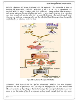 4 | P a g e
Biotechnology IIMonoclonal antibody
called a hybridoma. To create Hybridoma cells the fusion of 2 cells are needed in order to
combine the characteristics of the 2 cells into 1 cell. 1 of the cells is a producing cell
antibody which is a B-Lymphocyte used from a laboratory mouse and the other is a tumor
cell named myeloma. Tumor cells have the ability to grow indefinitely and at an exceeding
rate from normal cell growth. Laboratory produced Hybridoma cells replicate much faster
than normal antibody producing cells, and the individual hybridomas produce the specific
antibodies for an indefinite period of time.
Hybridoma cells manufacture the specific monoclonal antibody that was originally
produced by the B-Lymphocyte cell. The original B-Lymphocyte cell will produce the
Monoclonal antibody depending on the kind of antigen that was injected into the mouse just
prior to the harvesting of the B-Lymphocyte cells. A small example is, if the mice were
Figure 2: Production of Monoclonal Antibodies
 
