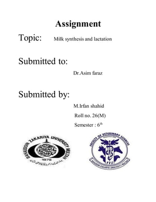Assignment
Topic: Milk synthesis and lactation
Submitted to:
Dr.Asim faraz
Submitted by:
M.Irfan shahid
Roll no. 26(M)
Semester : 6th
 