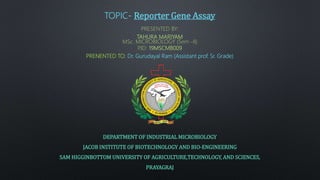 TOPIC- Reporter Gene Assay
PRESENTED BY:
TAHURA MARIYAM
MSc. MICROBIOLOGY (Sem -II)
P.ID: 19MSCMB009
PRENENTED TO: Dr. Gurudayal Ram (Assistant prof. Sr. Grade)
DEPARTMENT OF INDUSTRIAL MICROBIOLOGY
JACOB INSTITUTE OF BIOTECHNOLOGY AND BIO-ENGINEERING
SAM HIGGINBOTTOM UNIVERSITY OF AGRICULTURE,TECHNOLOGY, AND SCIENCES,
PRAYAGRAJ
 