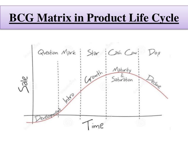 BCG matrix /GE9 cell matrix        BCG matrix /GE9 cell matrix