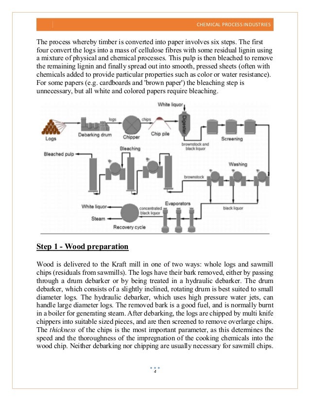 Paper and Pulp Complete Making Process