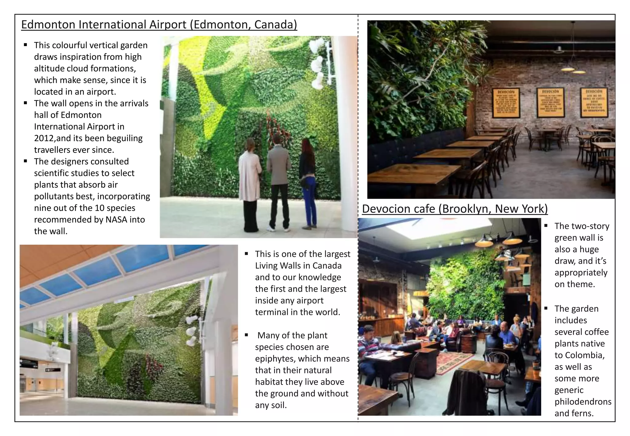 Edmonton International Airport (Edmonton, Canada)
Devocion cafe (Brooklyn, New York)
 The two-story
green wall is
also a huge
draw, and it’s
appropriately
on theme.
 The garden
includes
several coffee
plants native
to Colombia,
as well as
some more
generic
philodendrons
and ferns.
 This is one of the largest
Living Walls in Canada
and to our knowledge
the first and the largest
inside any airport
terminal in the world.
 Many of the plant
species chosen are
epiphytes, which means
that in their natural
habitat they live above
the ground and without
any soil.
 This colourful vertical garden
draws inspiration from high
altitude cloud formations,
which make sense, since it is
located in an airport.
 The wall opens in the arrivals
hall of Edmonton
International Airport in
2012,and its been beguiling
travellers ever since.
 The designers consulted
scientific studies to select
plants that absorb air
pollutants best, incorporating
nine out of the 10 species
recommended by NASA into
the wall.
 