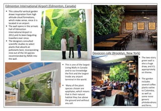 Edmonton International Airport (Edmonton, Canada)
Devocion cafe (Brooklyn, New York)
 The two-story
green wall is
also a huge
draw, and it’s
appropriately
on theme.
 The garden
includes
several coffee
plants native
to Colombia,
as well as
some more
generic
philodendrons
and ferns.
 This is one of the largest
Living Walls in Canada
and to our knowledge
the first and the largest
inside any airport
terminal in the world.
 Many of the plant
species chosen are
epiphytes, which means
that in their natural
habitat they live above
the ground and without
any soil.
 This colourful vertical garden
draws inspiration from high
altitude cloud formations,
which make sense, since it is
located in an airport.
 The wall opens in the arrivals
hall of Edmonton
International Airport in
2012,and its been beguiling
travellers ever since.
 The designers consulted
scientific studies to select
plants that absorb air
pollutants best, incorporating
nine out of the 10 species
recommended by NASA into
the wall.
 