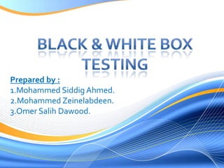 Black & White Box testing | PPTX