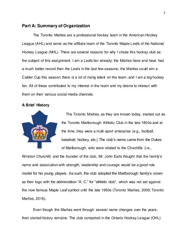 a sample essay about yourself villages