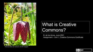 Photo by Nida van Leersum, CC BY /cropped
What is Creative
Commons?
B. de los Arcos, June 2021
Assignment – Unit 1, Creative Commons Certificate
https://flic.kr/p/2kUnhQ5
 
