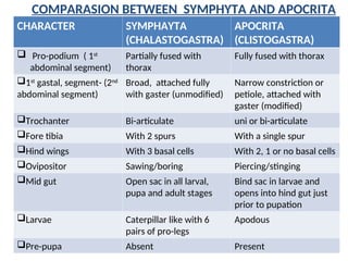 ORDER:HYMENOPTERA IN ENTOMOLOGY SCIENCE. | PPT