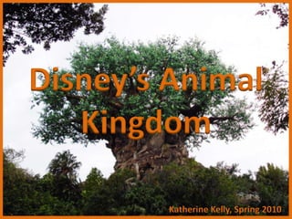 Disney’s Animal Kingdom © Katherine Kelly, Spring 2010 