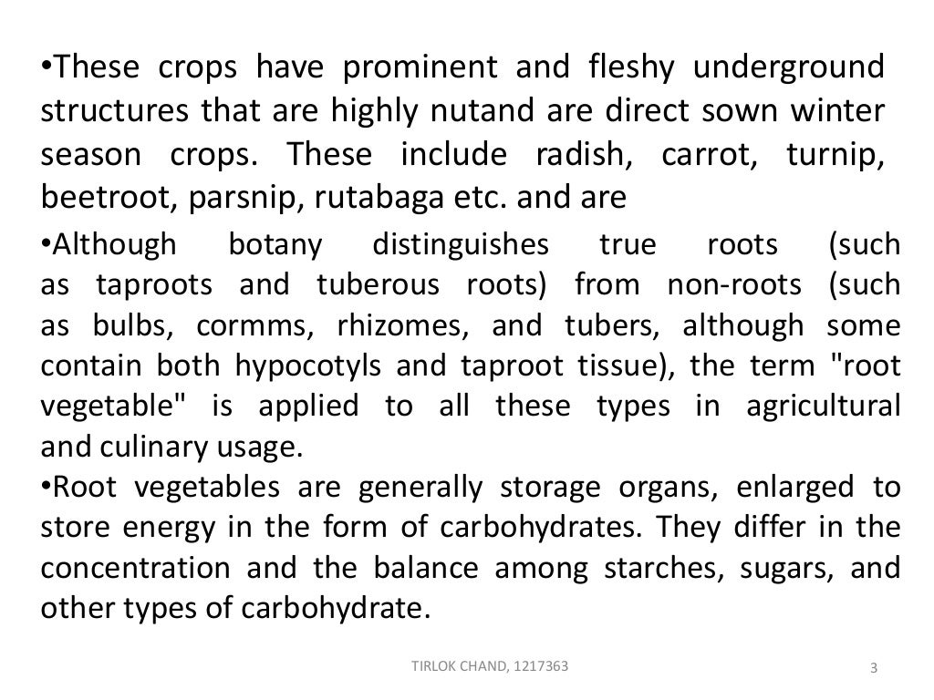 ROOT CROPS