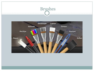 Brushes
 