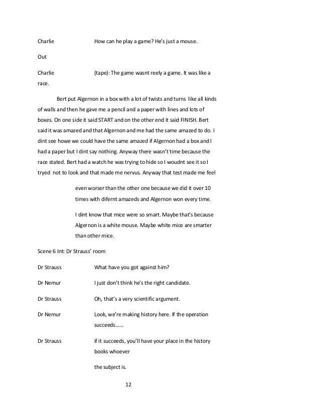professional programmer essay tips