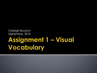 Assignment 1 – Visual Vocabulary CaileighBroatch September, 2010 