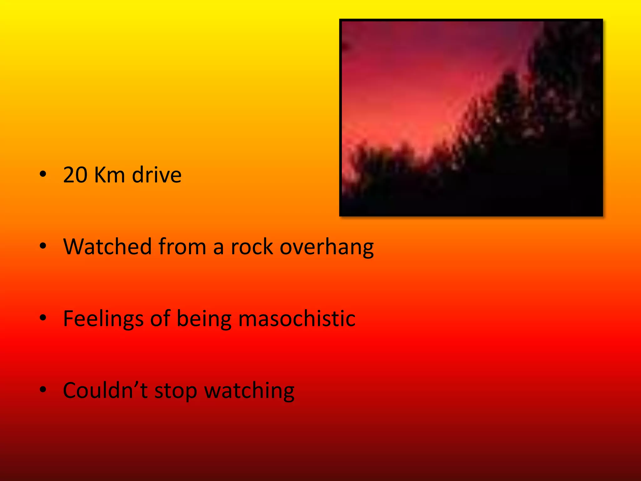 20 Km driveWatched from a rock overhangFeelings of being masochisticCouldn’t stop watching