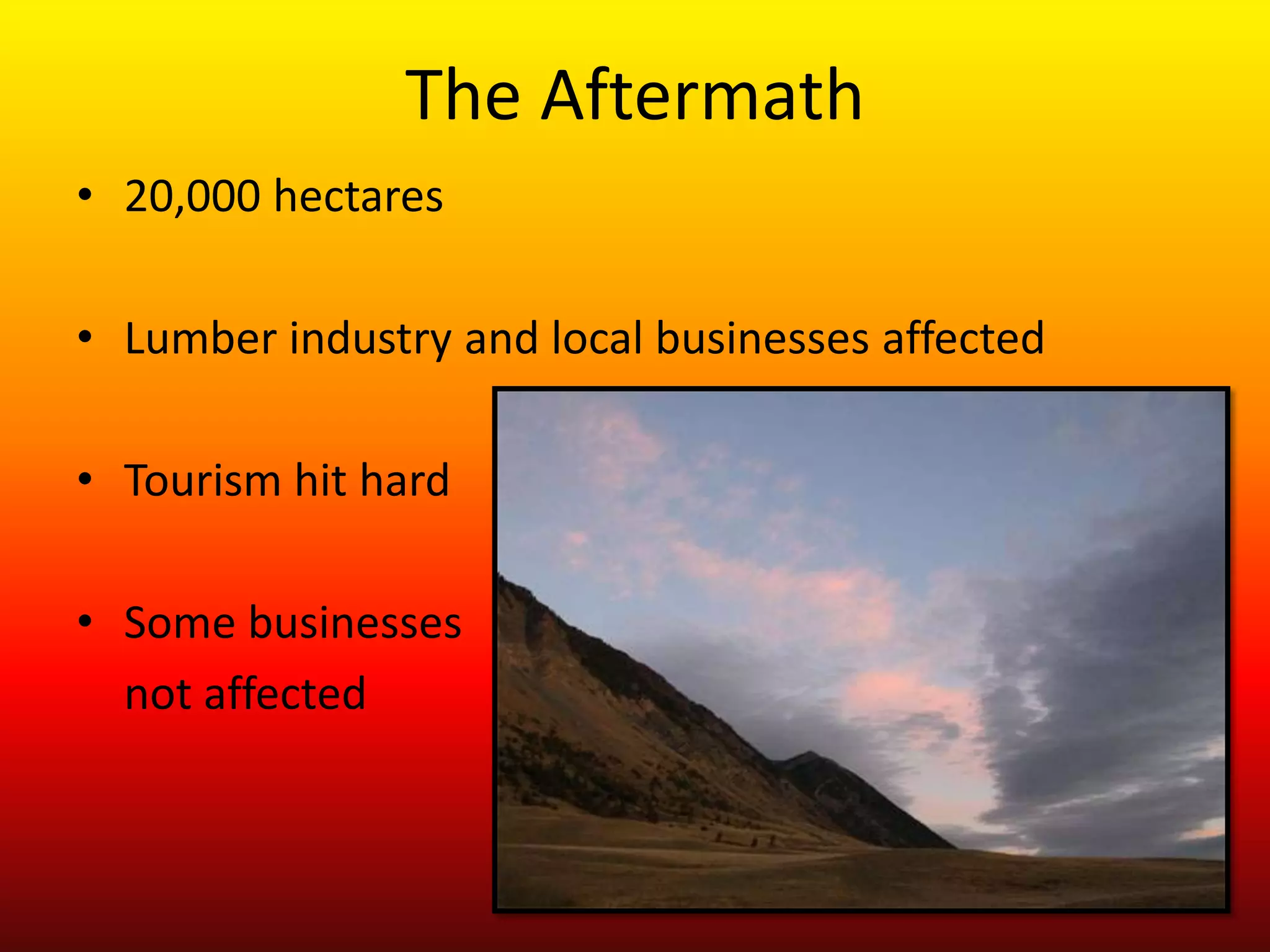 The Aftermath20,000 hectaresLumber industry and local businesses affectedTourism hit hardSome businesses not affected
