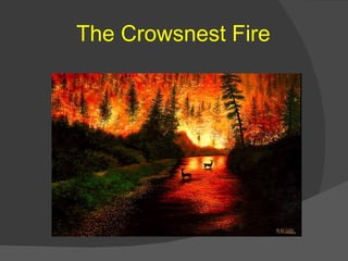 The Crowsnest Fire 