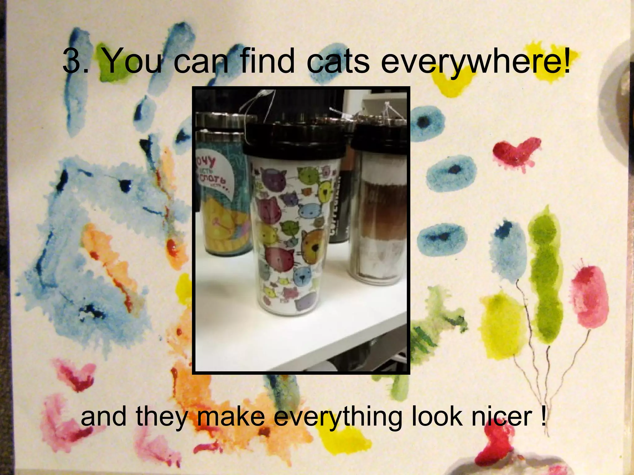 3. You can find cats everywhere!




 and they make everything look nicer !
 
