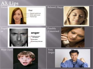 body language | PPTX