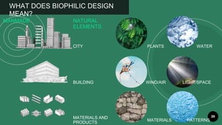 20
WHAT DOES BIOPHILIC DESIGN
MEAN?
CITY
BUILDING
MATERIALS AND
PRODUCTS
PLANTS WATER
LIGHT/SPACE
PATTERNS
WIND/AIR
MATERIALS
MANMADE NATURAL
ELEMENTS
 