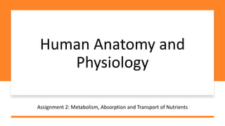 Human Anatomy and
Physiology
Assignment 2: Metabolism, Absorption and Transport of Nutrients
 